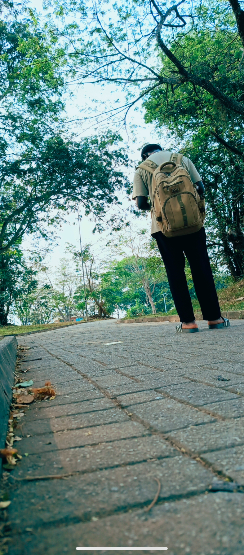 The Path Ahead