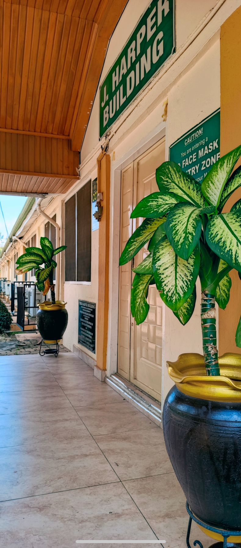 Corridor Greenery